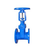 Ductile iron dn 100 pn10 gate valve DIN3352 rising stem gate valve with prices