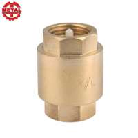 Dual Plate Duckbill Flap Vertical Dn100 Pn16 Natural Gas 8 Inch Flapper Type Swing Check Valve