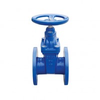 Ductile Iron Gate Valve BS5163 PN16