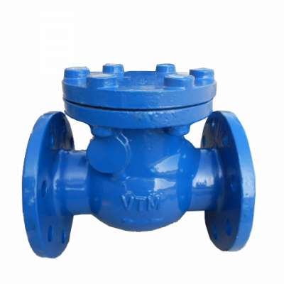 Ductile Iron Swing Check Valve