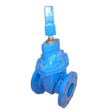 supplying PN10 PN16 PN25 safty valve gate valve with price