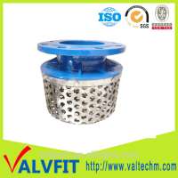 Ductile Iron Rose Strainer flange